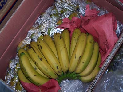 图文公厕内催熟香蕉