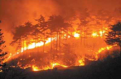 韩国爆发山林火灾(图)