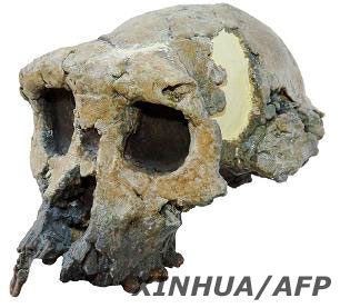 法国科学家证明乍得人是迄今发现的最早人种