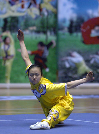 图文:女子武术套路预赛 赵晓玉在长拳比赛中
