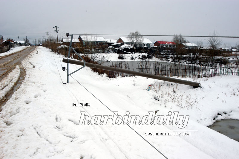 哈尔滨      从20日起,五常市普降雨雪,至昨午,五常市冲河镇