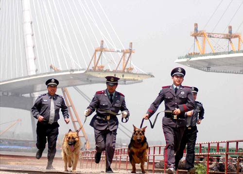 南京:三桥保安护卫犬巡逻队(图)