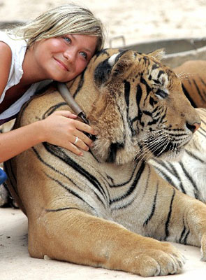 泰国老虎保护中心:美女与野兽(组图)
