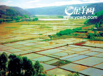 人物面对面:南泥湾里屯垦练兵(组图)
