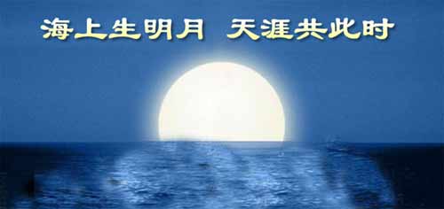 Img226834383.jpg