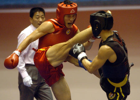 图文:十运会武术 四川选手于飞彪在比赛中