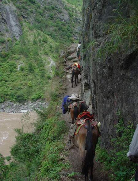 茶马古道精彩图片(组图)