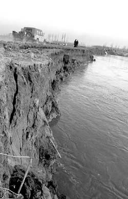 黄河宁夏段河岸大面积塌陷 150亩良田沉入河底(组图)