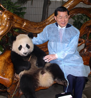 金佰利成都认养大熊猫取名舒洁