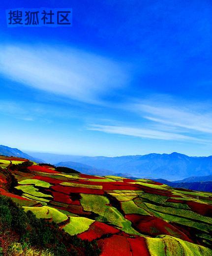 七彩斑斓东川红土地(图)