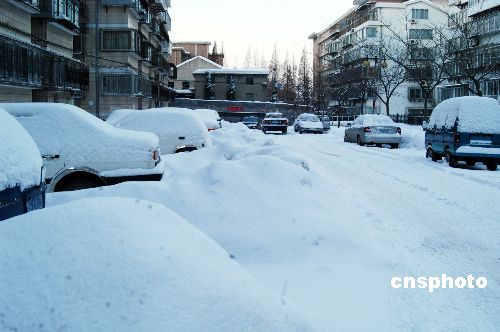 图:山东省烟台再次遭大雪袭击