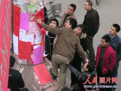 图文:浙江温州新街景 招工电杆聚满人