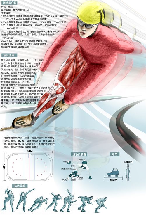 冬奥会项目介绍--短道速滑