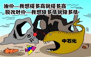 搜狐财经,企业调查,中石化