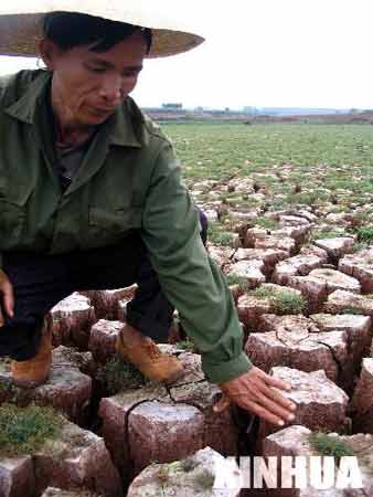 雷州半岛连续几年干旱 土地缺水无法耕种(组图