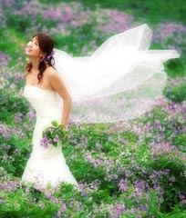 ţ˭˵Ů˶飿