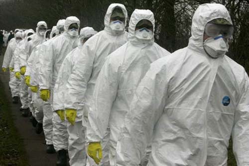 h5n1禽流感病毒快速在欧洲