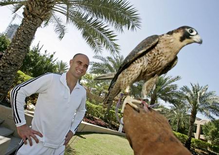 图文:迪拜赛阿加西赛前休闲 酒店玩鹰寻乐趣