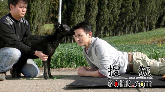刘德华拍广告表情的墙表情包动态单手捶被小羊亲吻1茶园古怪(租图)图片