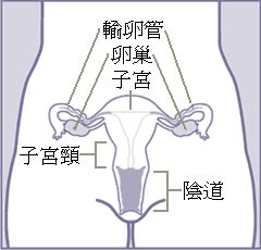 妇科保健女生生理期10大注意图