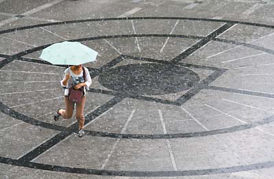 春雷滚滚 春雨咚咚(组图)