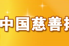 2005中国慈善排行榜回顾