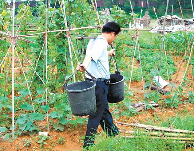 一大早挑了5担水浇庄稼.