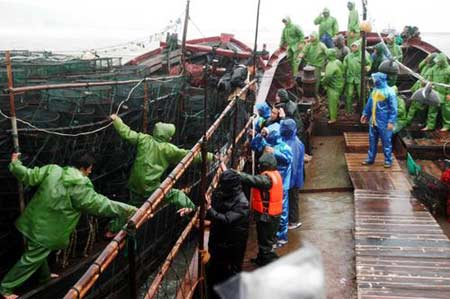 台风“珍珠”来袭 福建漳州46艘船被困东山(图)