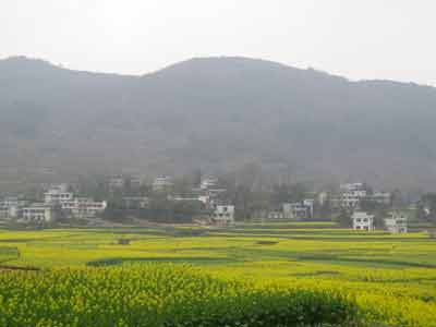 参评村庄:贵州光明村