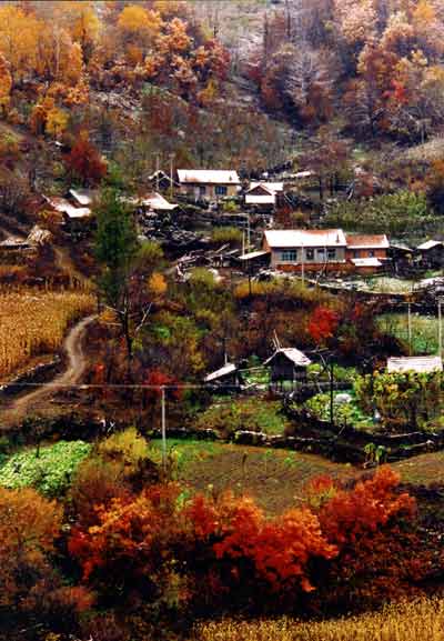 参评村庄:吉林夹皮沟村