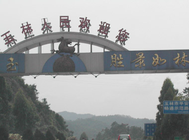 从东莞到玉林——众泰2008全国巡游车队抵桂