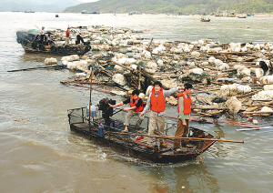 综合 强台风"桑美"给浙江,福建带来重创.