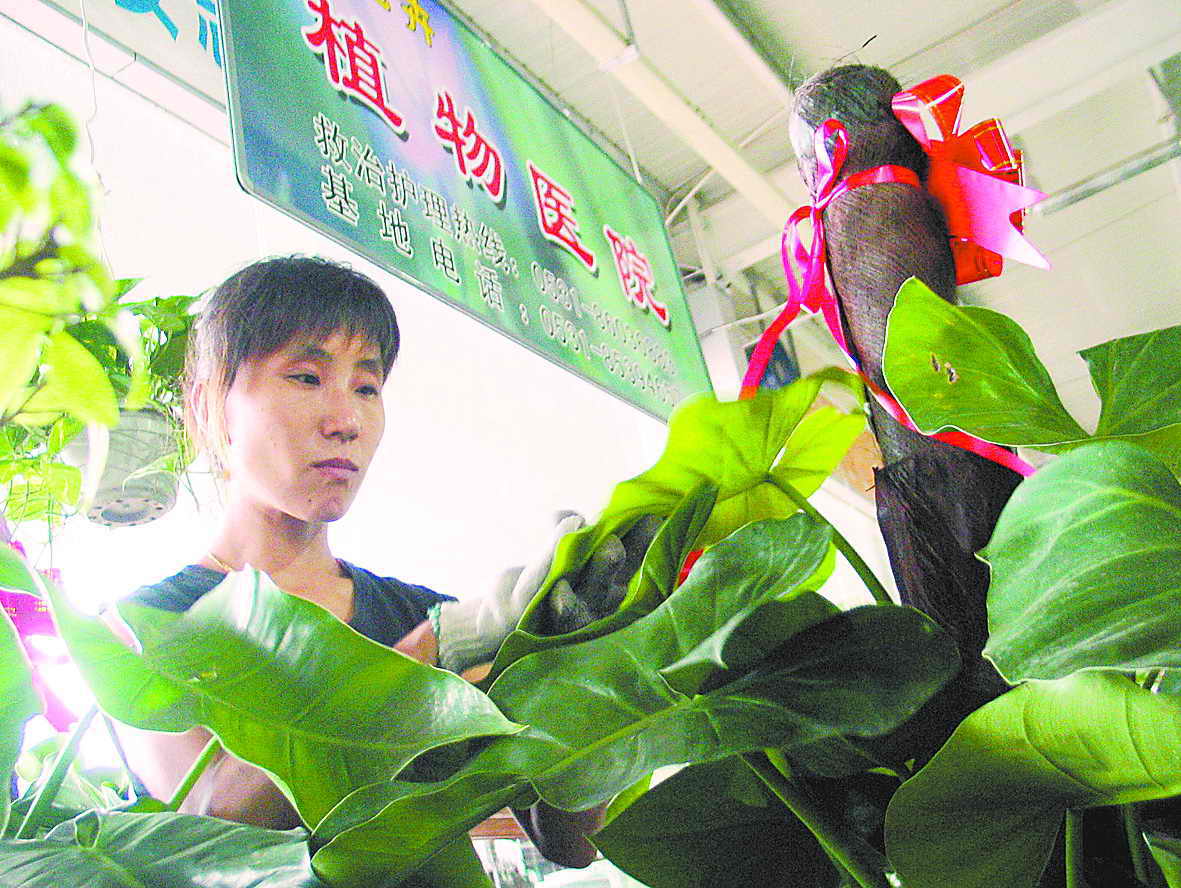 生病植物住进专科医院(图)