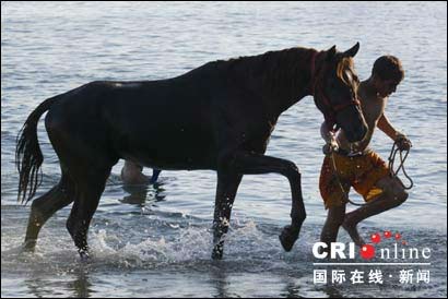 以色列人生活恢复平静 男子牵着马海滩散步(图)