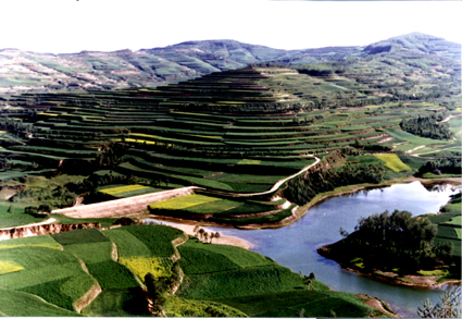 陕西黄土高原淤地坝形成高产农田80多万亩(图