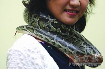 北京白领女子与蟒蛇同居 网上发视频引争议(图