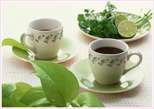 护肤：绿茶 英国最流行的美容法