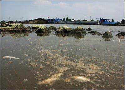 监管错位 宁波母亲河遭数万吨废弃泥浆侵蚀