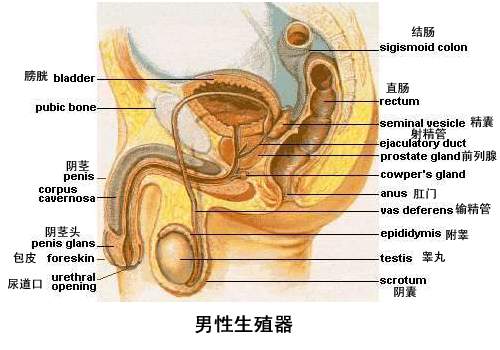 男人的四大危险"杀手"