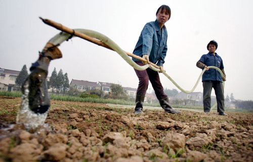 南京江心洲的二位农民正在为农田浇水