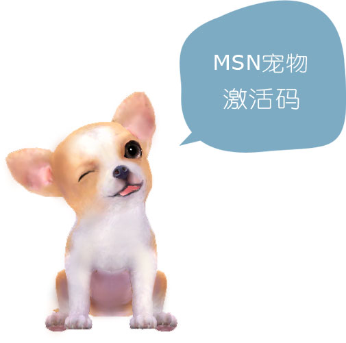 MSN宠物《遛遛》超级抢手 官方网站险遭攻击