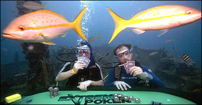 加勒比海举行海底扑克大赛(组图)