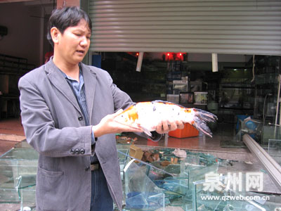 凌晨倒车撞进水族馆 缸破鱼死(组图)