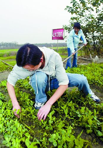 四川大学创种地创业必修课 学生农场劳作换学