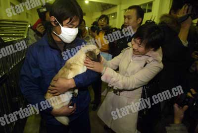 北京已查出2万多只无证犬 收容犬首次集中认养