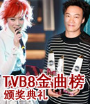 06TVB8佱