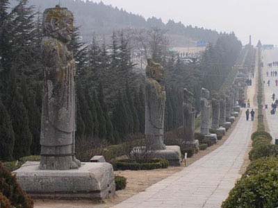 Img247643216.jpg