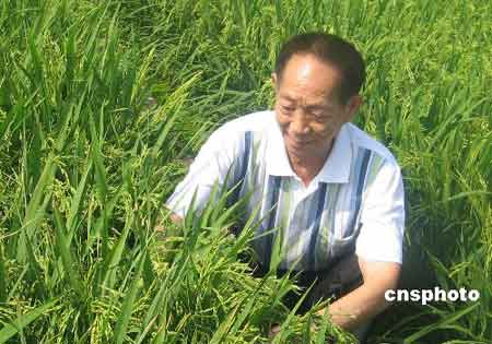 中国工程院院士,杂交水稻之父袁隆平. 资料图 刘双双 摄