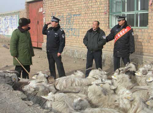 内蒙古42万特困农牧民享受低保待遇人均397(
