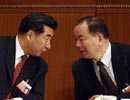 回良玉、王乐泉